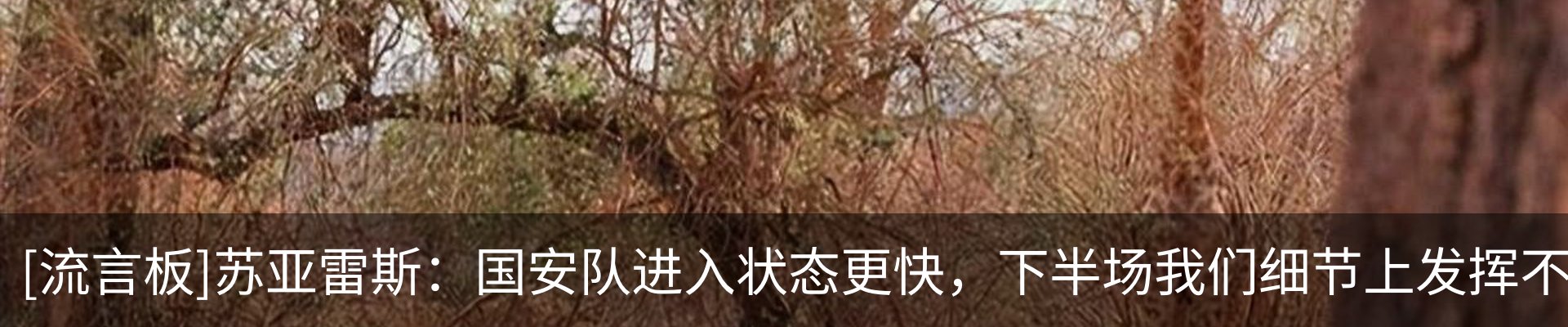 行业资讯